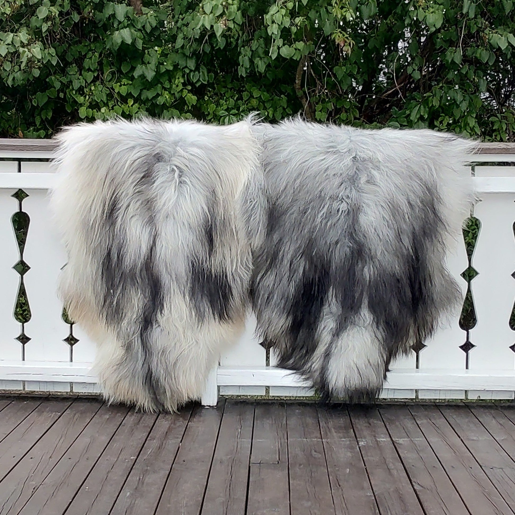 1 stk. Grå Langhåret Skinn fra Island - Gratis Frakt - ULLNorge