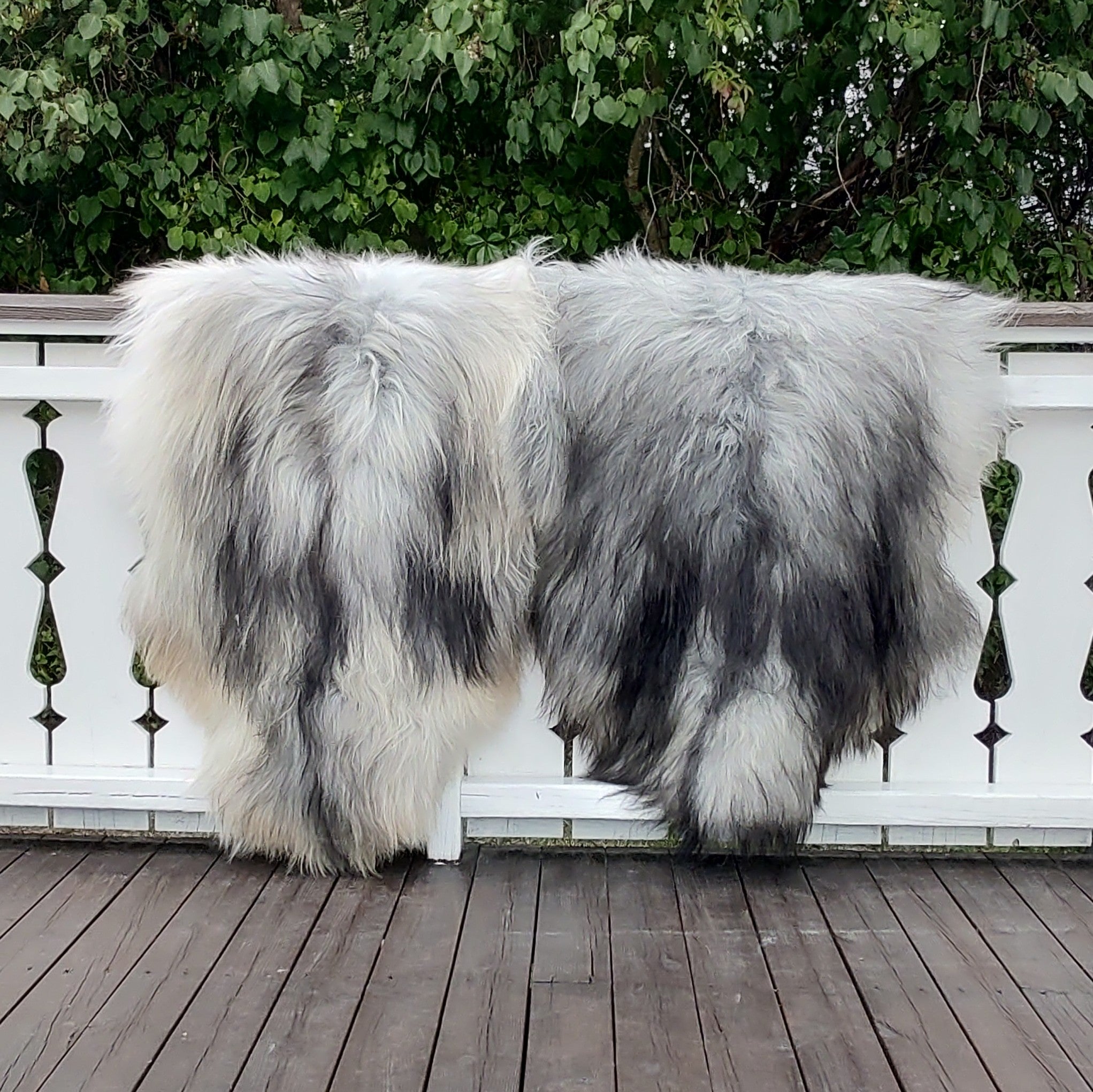 1 stk. Grå Langhåret Skinn fra Island - Gratis Frakt - ULLNorge