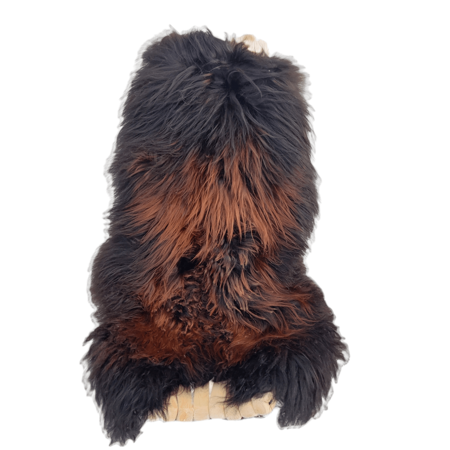 1 stk. Islandsk Flamme Saueskinn - Gratis Frakt - ULLNorge