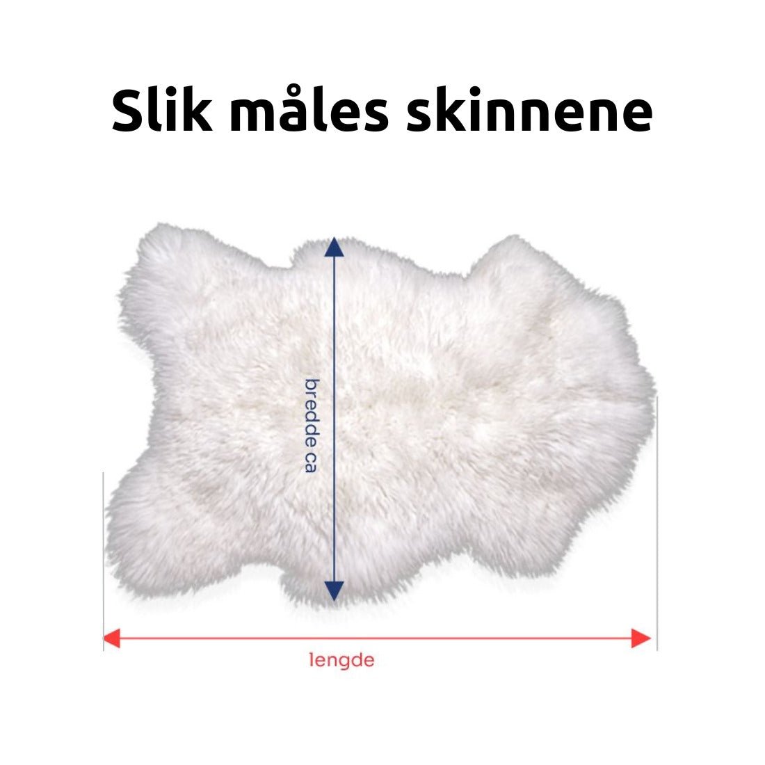 2 stk Hvite Langhårete Skinn fra Island - Gratis Frakt - ULLNorge
