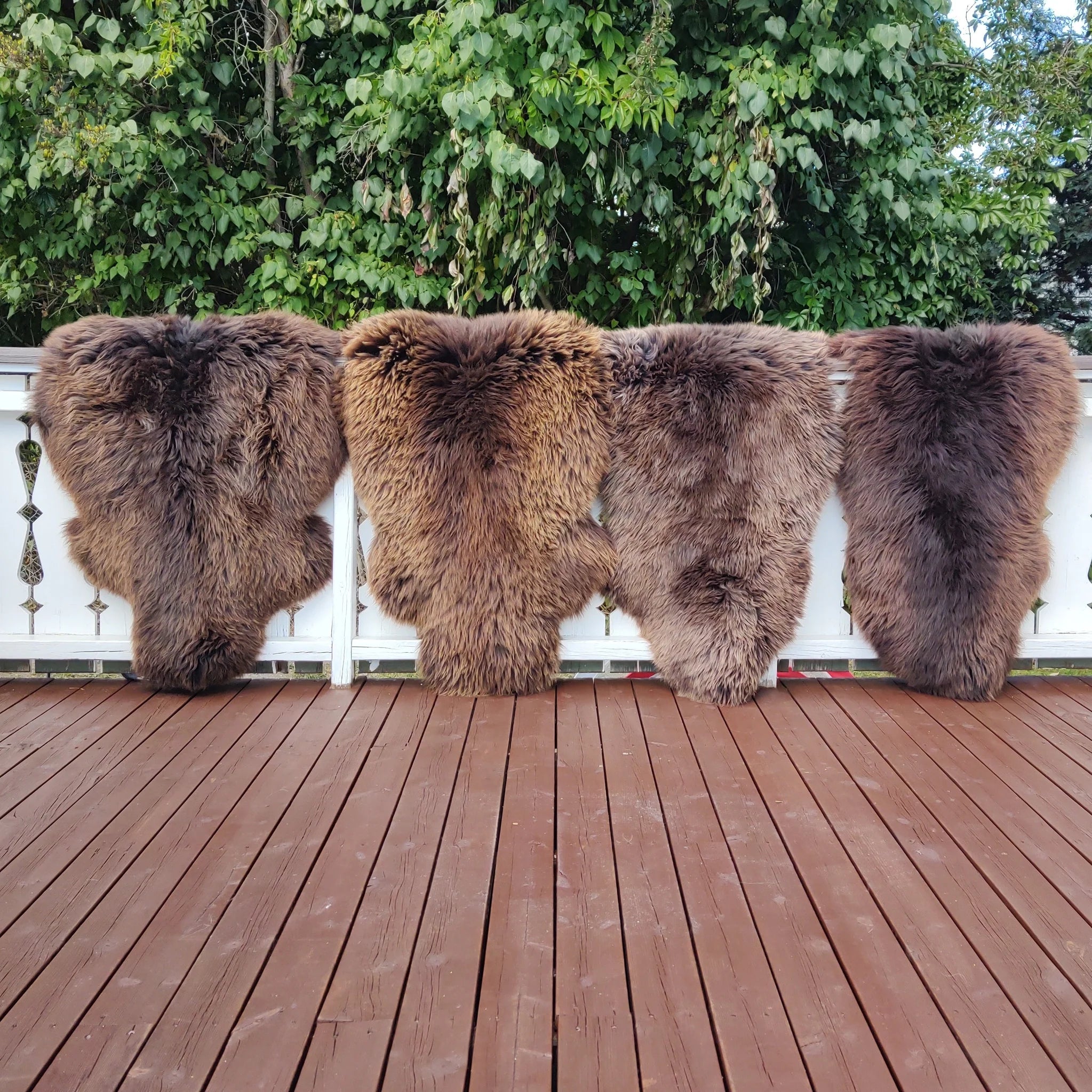 4 stk brune saueskinn -str. L  (95-100 cm )-Gratis frakt.