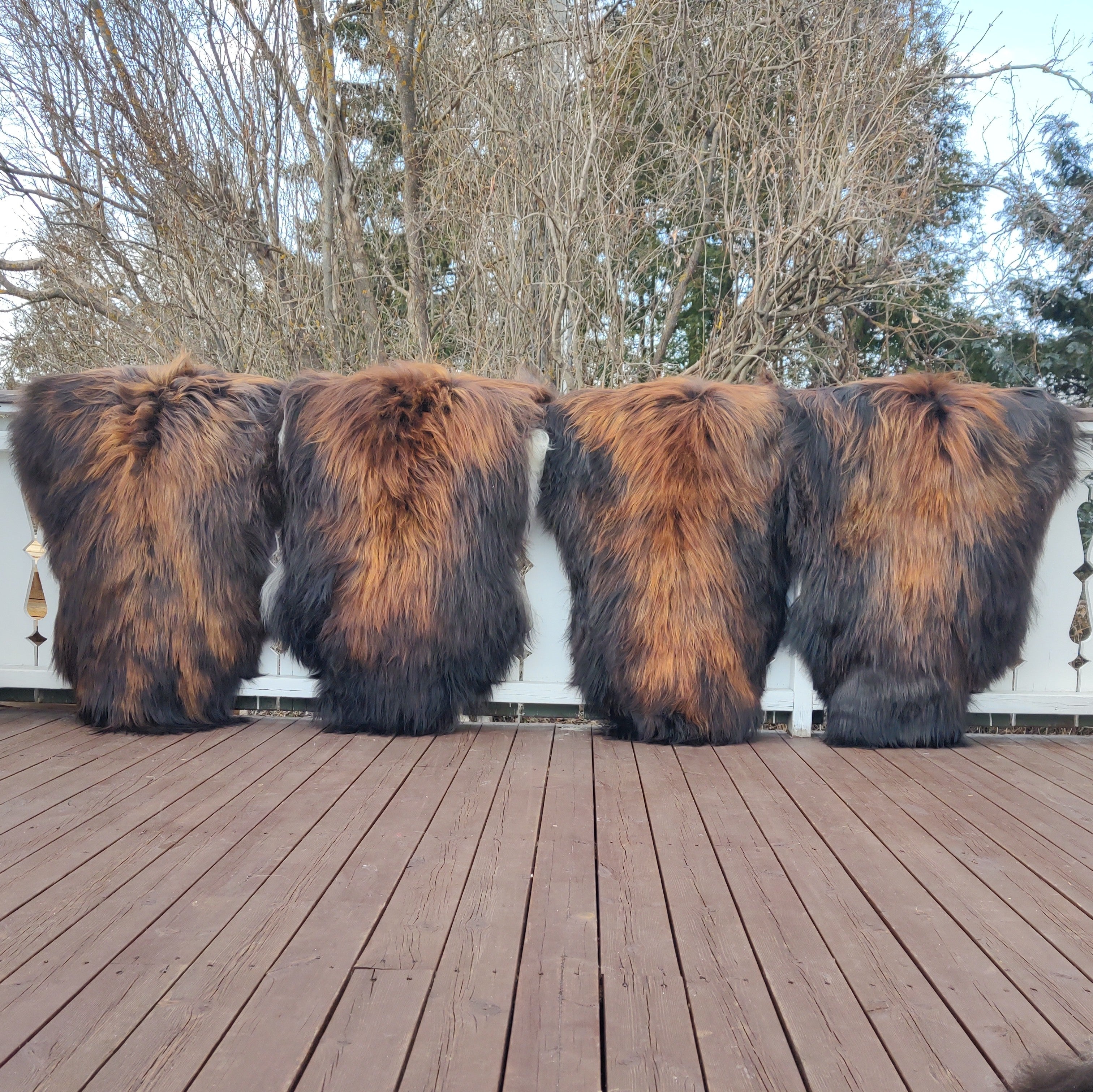4 stk. Islandsk flamme -str.XL-115/120 cm-Gratis frakt.