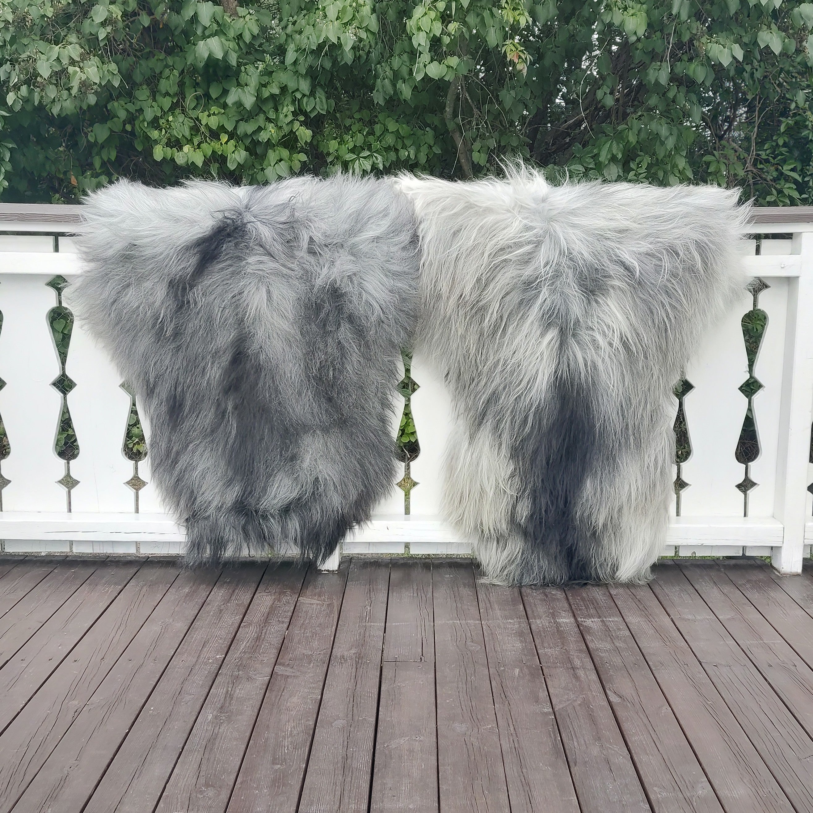 2 stk Grå langhårete skinn fra Island. Str. XXL (125/130cm)-Gratis frakt.