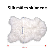 Last inn bildet i Galleri-visningsprogrammet, 2 stk  hvite langhårete skinn fra Island.  Str. L (115/120cm)-Gratis frakt.
