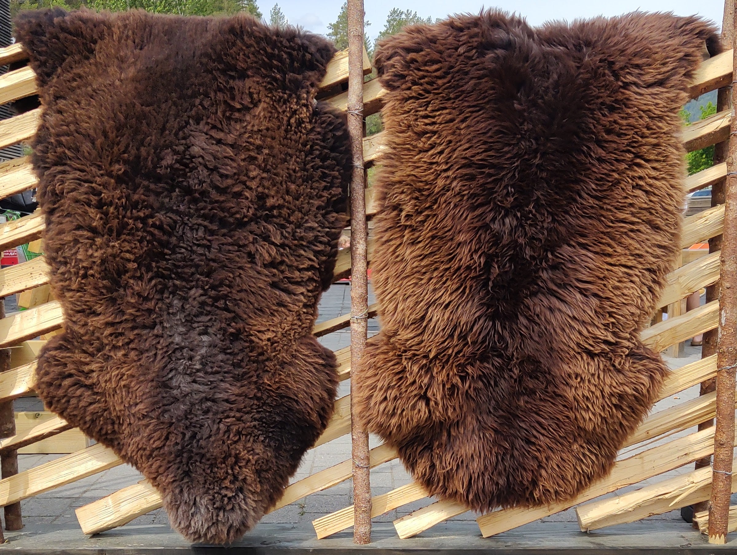 4 stk ekstra store brune saueskinn-XXL -125/130cm-Gratis frakt.