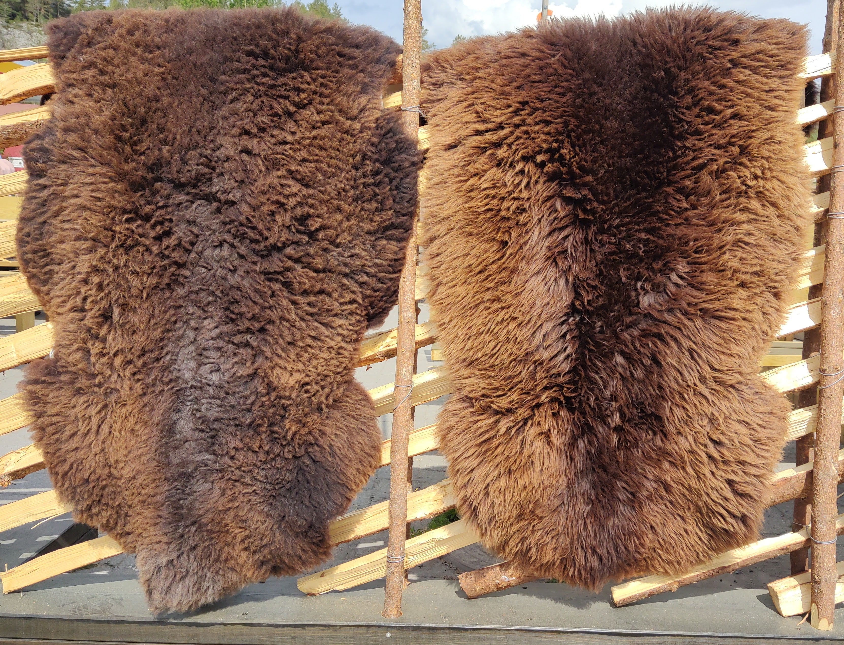 2 stk brune saueskinn -str. L  (105-110cm)-Gratis frakt.