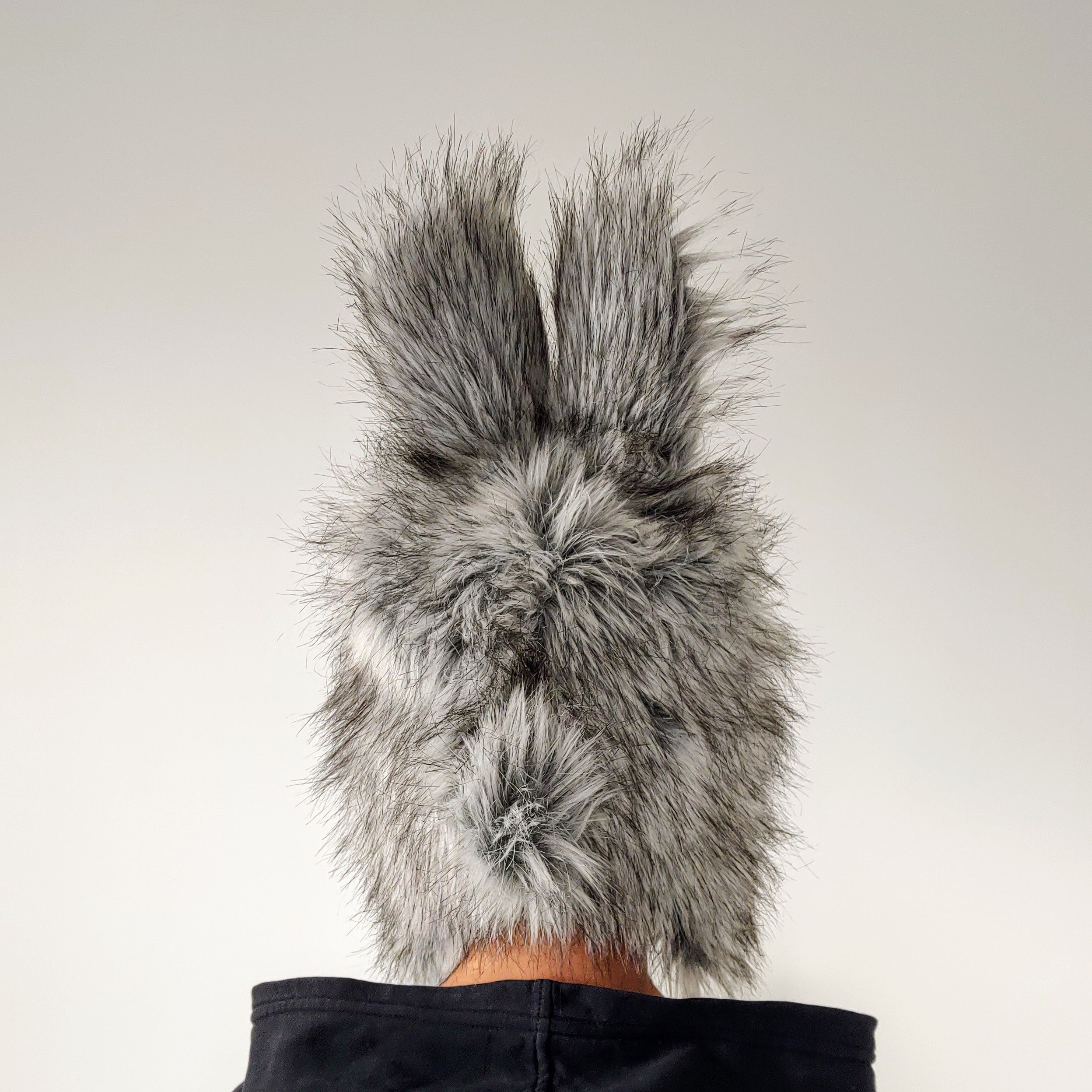 Kanin Lue. Gratis frakt !