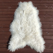 Last inn bildet i Galleri-visningsprogrammet, 2 stk  Unike langhårete skinn fra Island.  Krølla ull !!! Str. XXL (125-130cm)-Gratis frakt.
