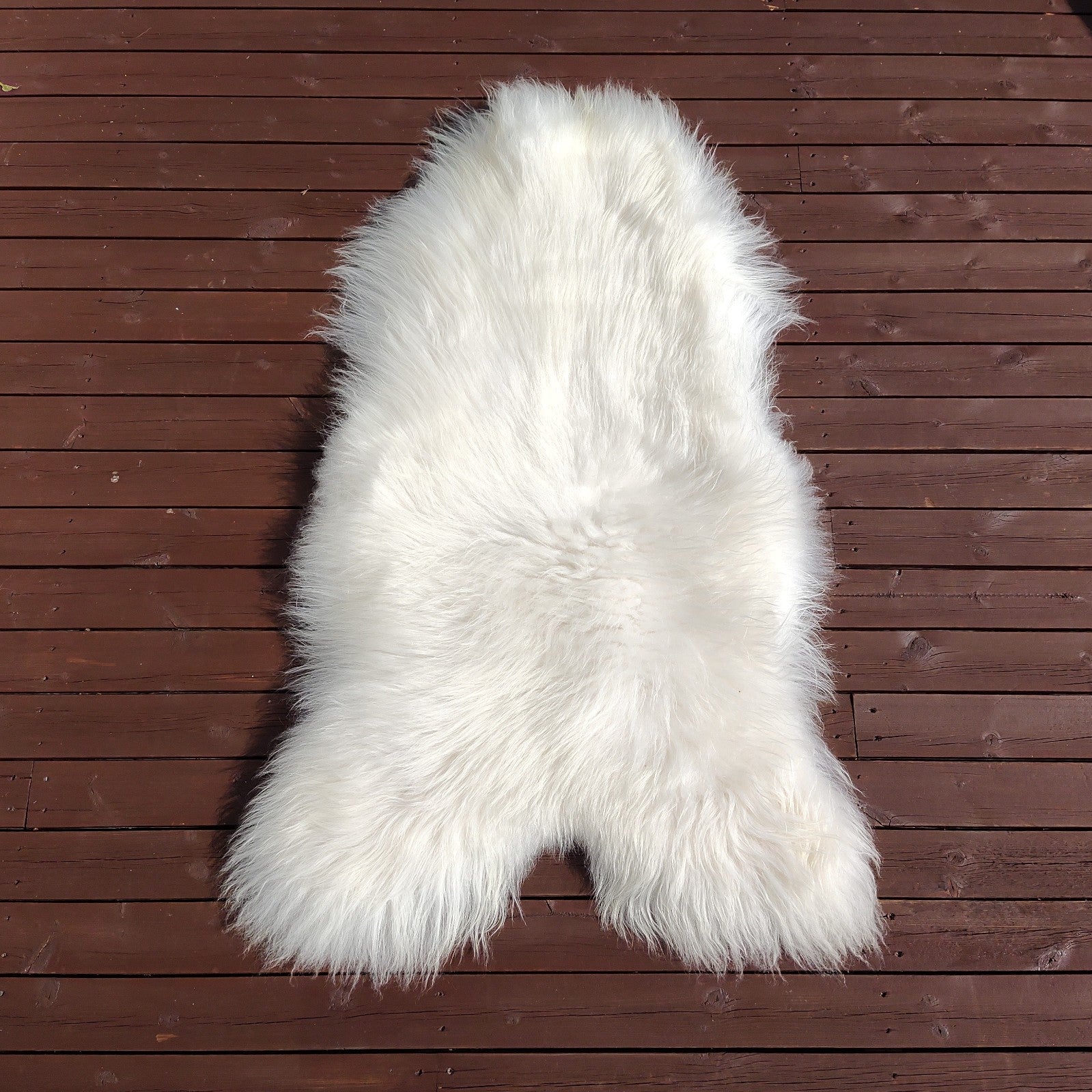 Hvit langhåret skinn fra Island.  Str. XL (125-130cm)-Gratis frakt