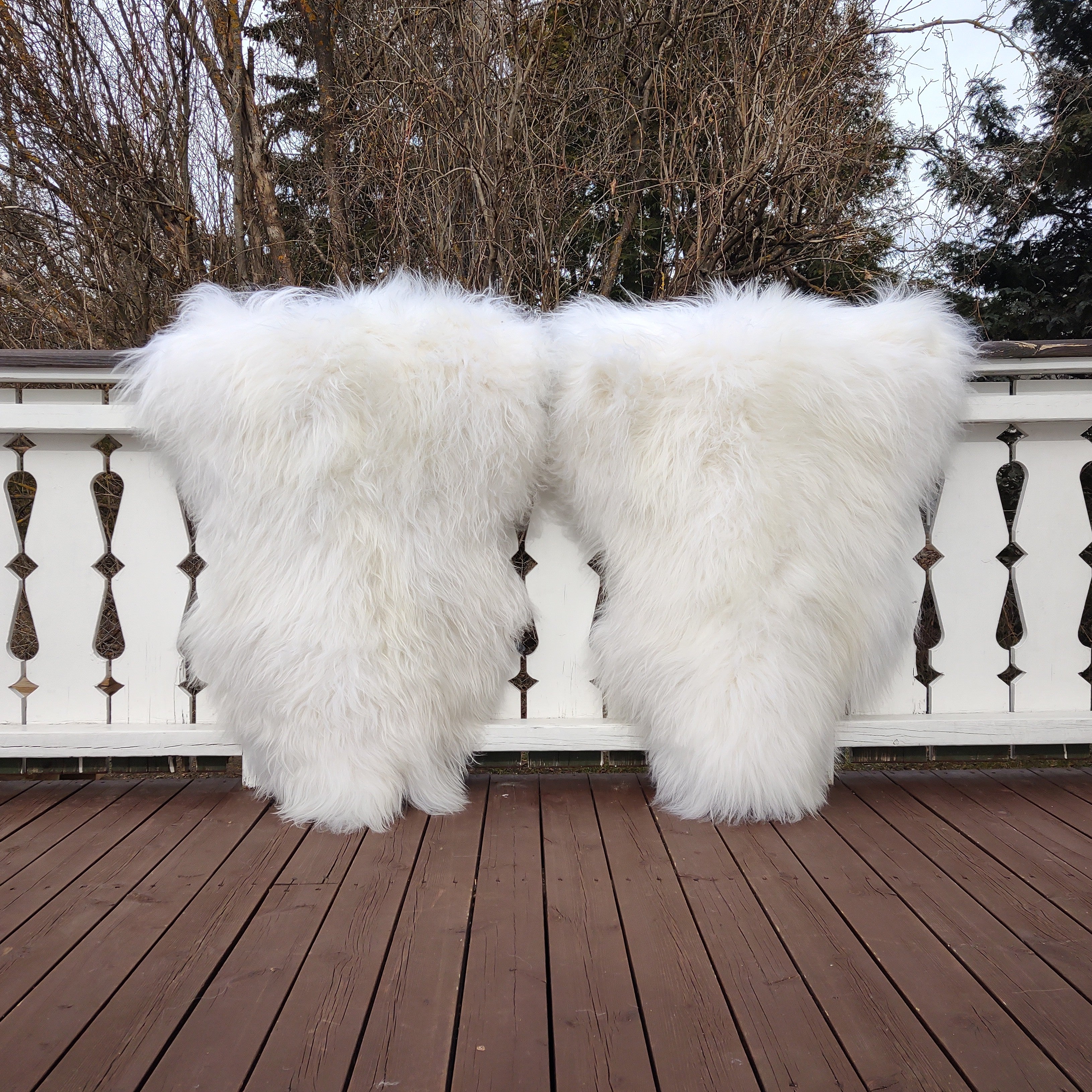 2 stk hvite langhårete skinn fra Island -str.L-115/120cm-gratis frakt.